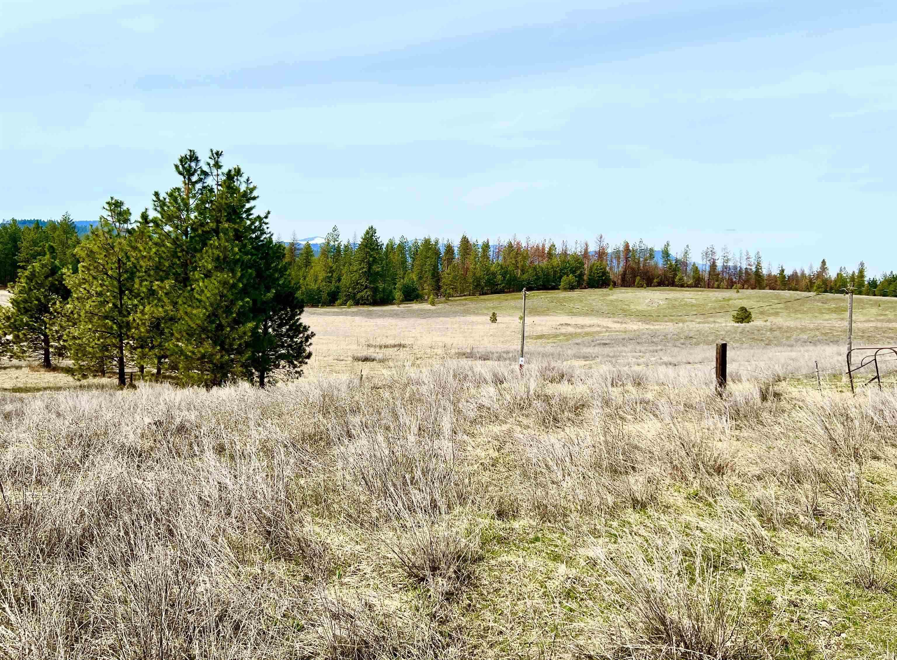 Xx West Webb Avenue Springdale, WA 99173 - Photo 2 of 5