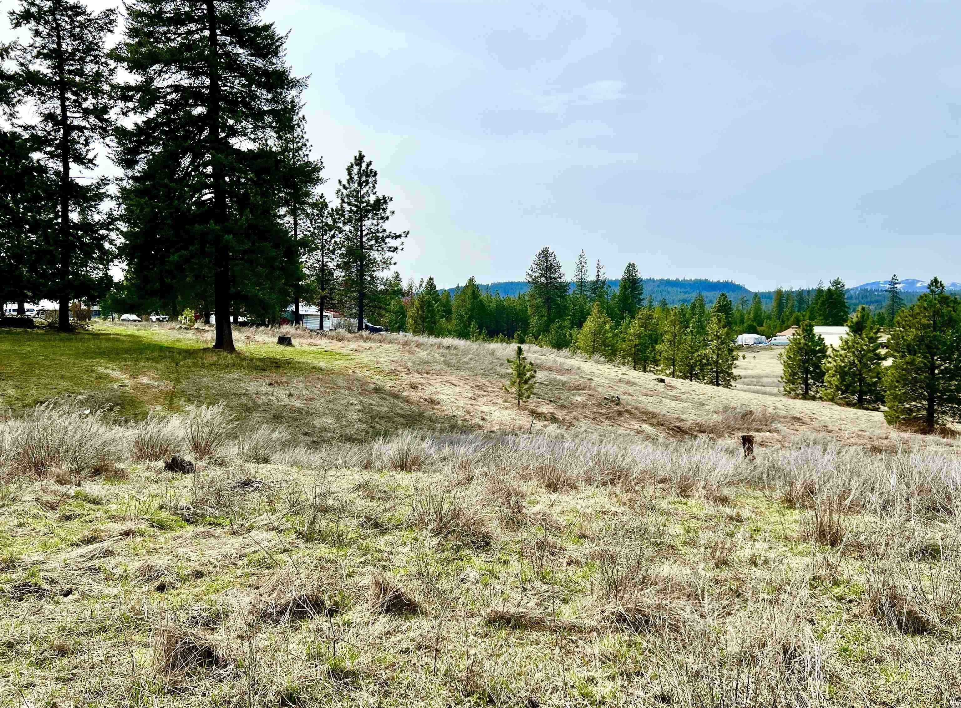 Xx West Webb Avenue Springdale, WA 99173 - Photo 3 of 5