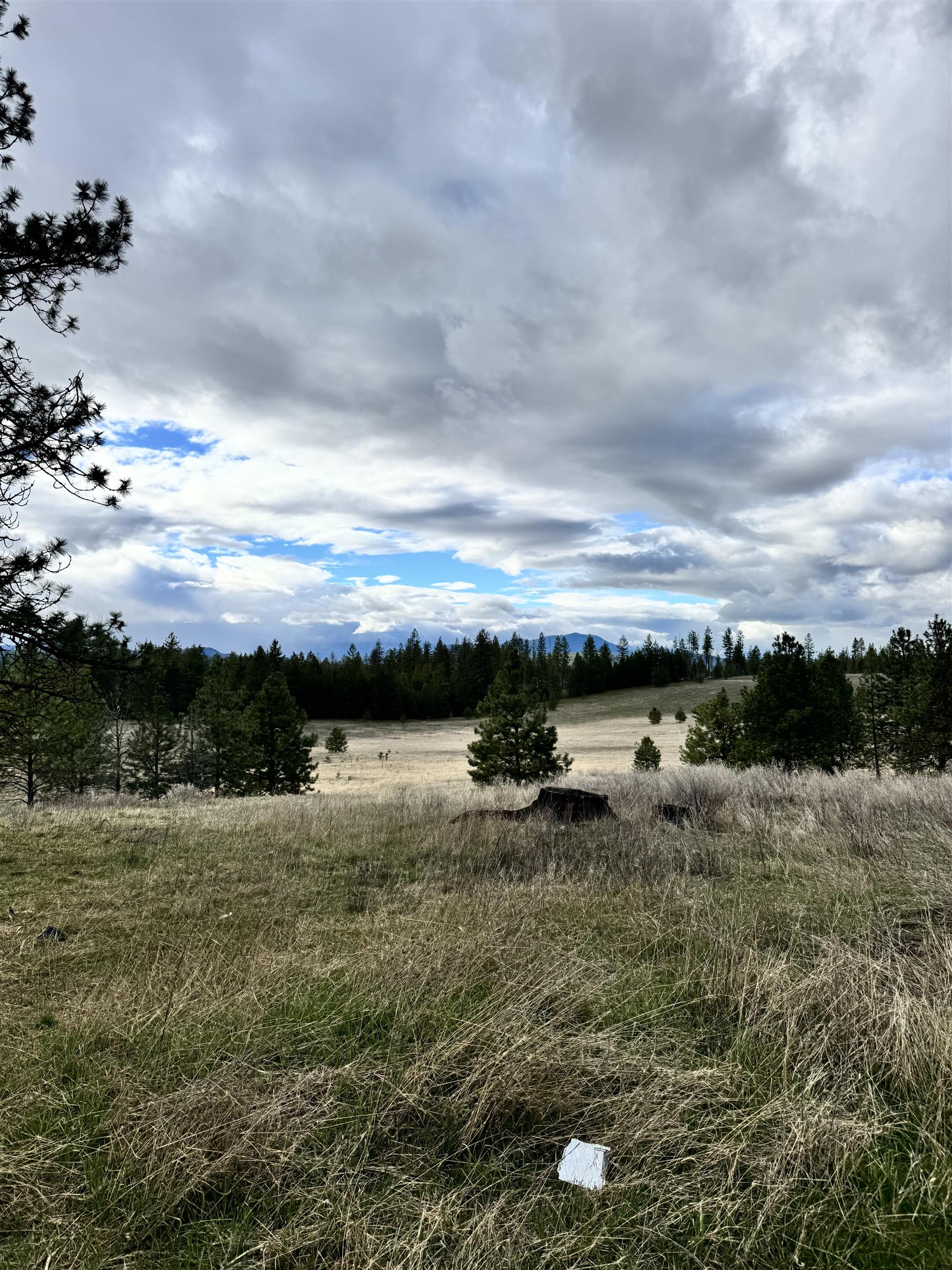 Xx West Webb Avenue Springdale, WA 99173 - Photo 4 of 5