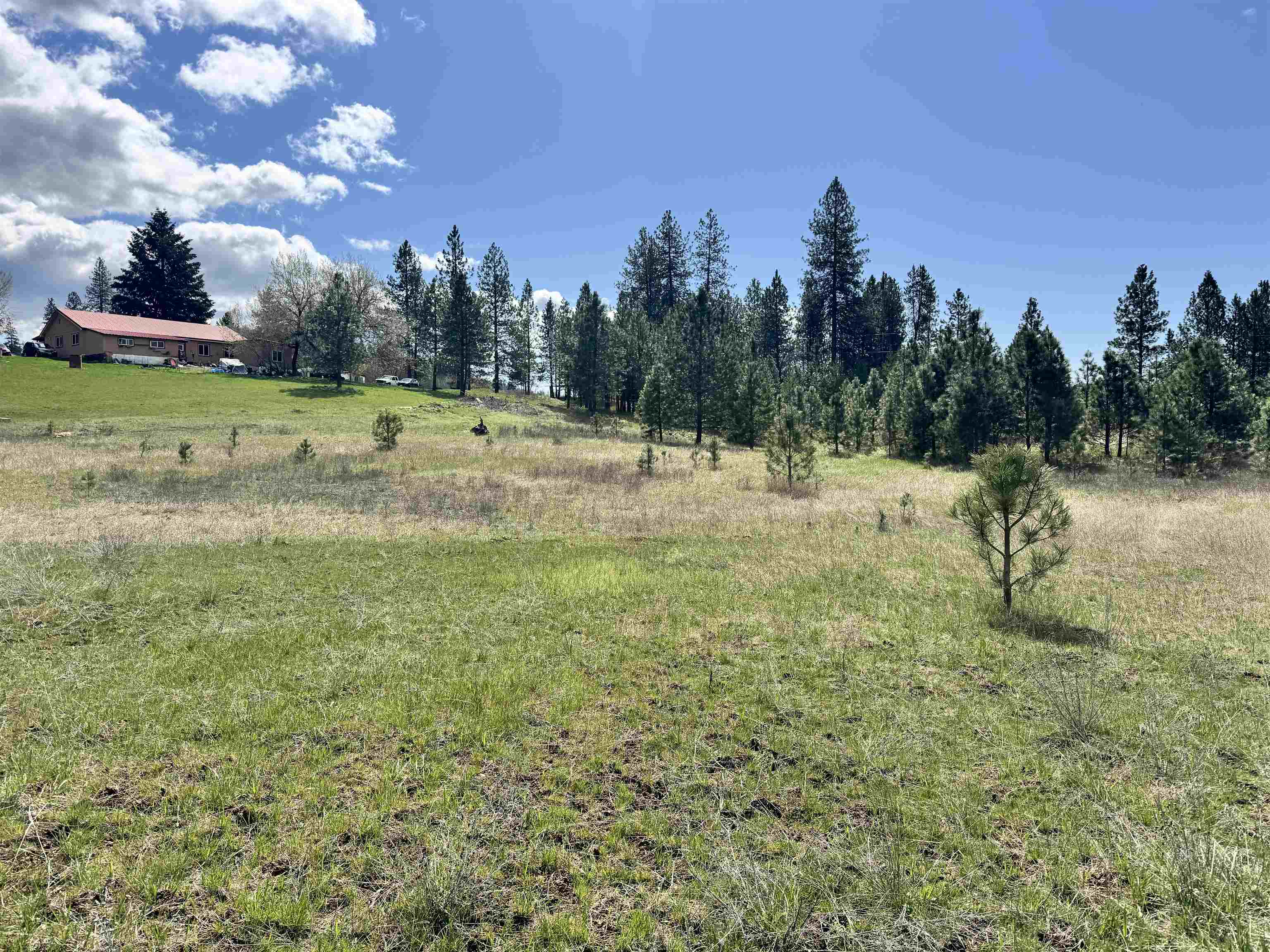 Xx West Webb Avenue Springdale, WA 99173 - Photo 8 of 11