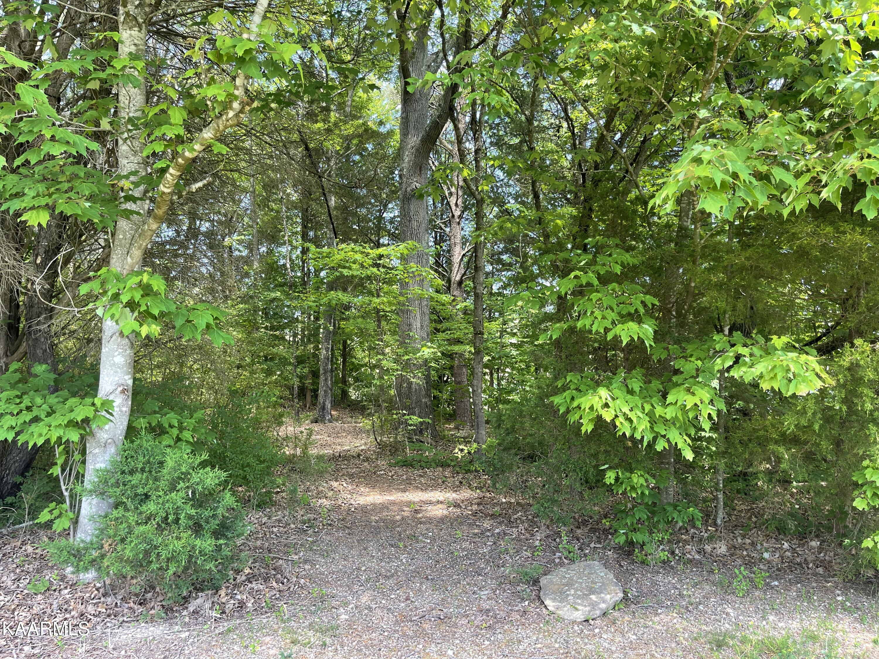 Lot 19 Blount Circle Rutledge, TN 37861 - Photo 8 of 16 54E298DF-5F16-431B-B816-5057842933B0