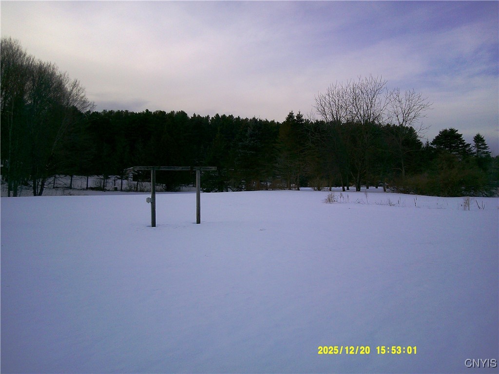 133 Sol Davis Road Williamstown, NY 13493 - Photo 37 of 38