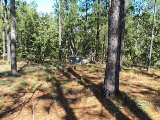 1 Fred Chance Road Millen, GA 30442 - Photo 1 of 1 Gallery Image 1