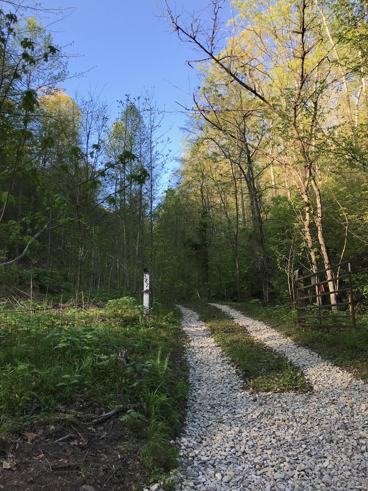 587 Texas Hollow Road Luttrell, TN 37779 - Photo 1 of 6 Driveway