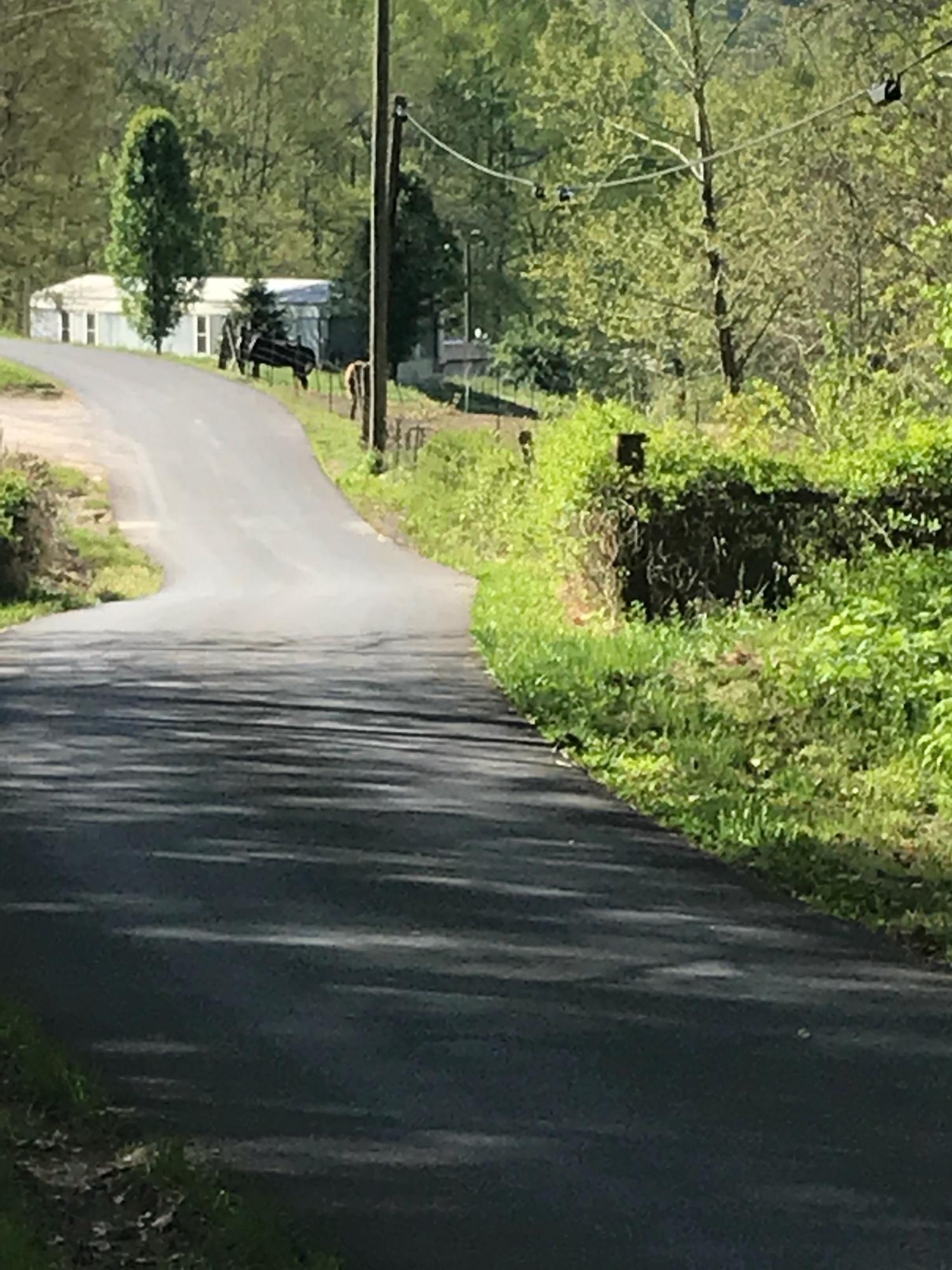 587 Texas Hollow Road Luttrell, TN 37779 - Photo 3 of 6 Fromdriveway