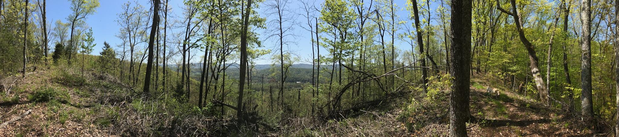 587 Texas Hollow Road Luttrell, TN 37779 - Photo 5 of 6 IMG_1167