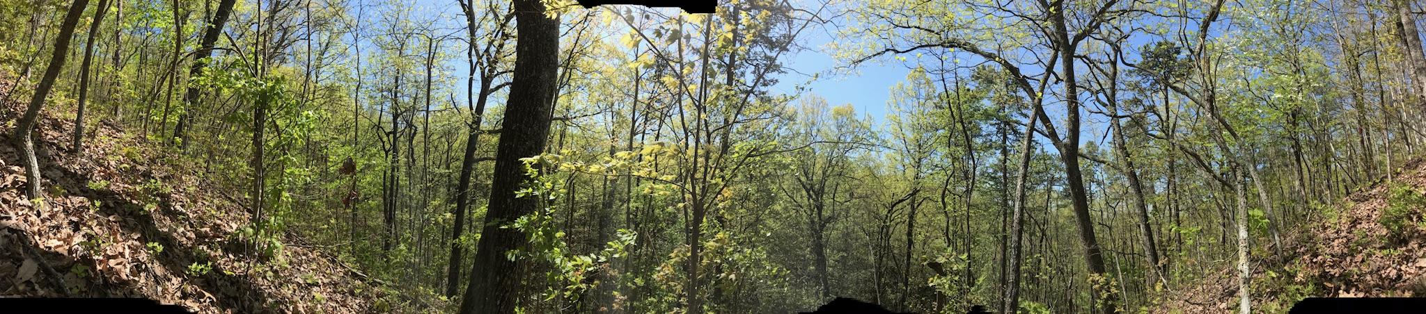 587 Texas Hollow Road Luttrell, TN 37779 - Photo 6 of 6 moreviews