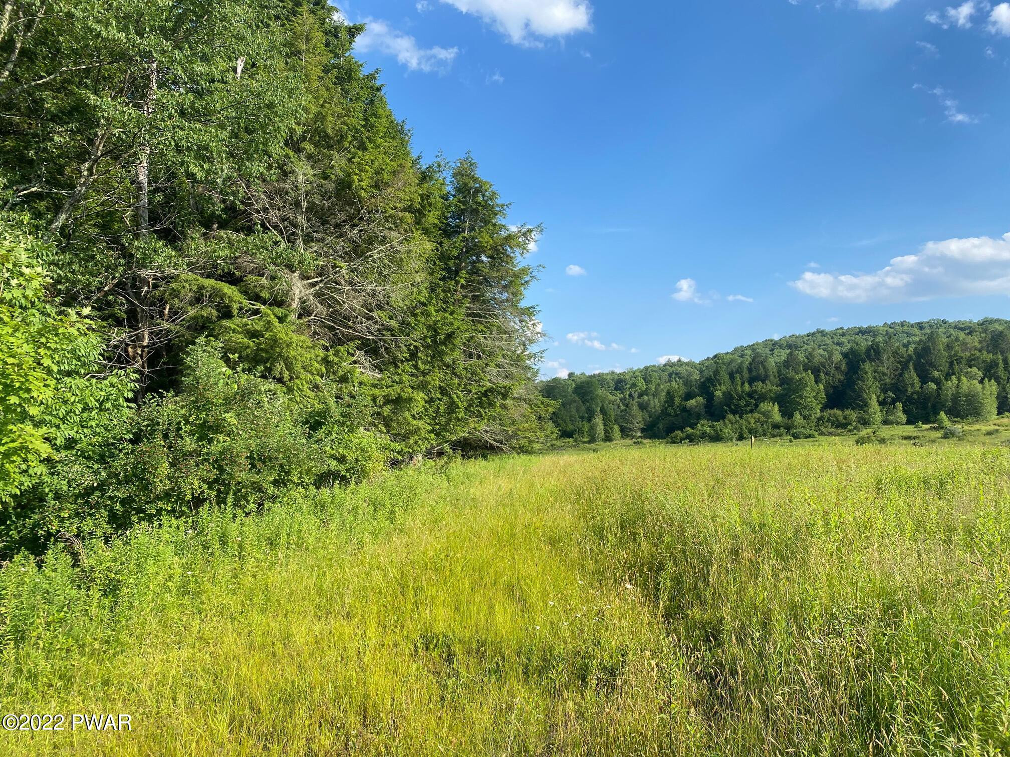 Calkins Road Milanville, PA 18443 - Photo 12 of 30