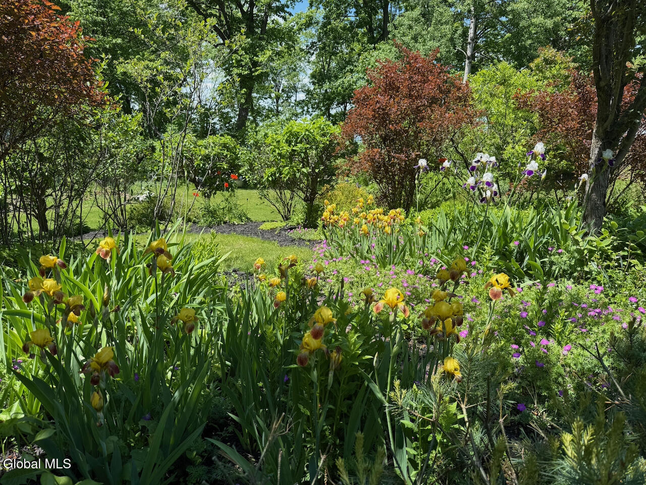 267 Kenyon Road Greenwich, NY 12834 - Photo 63 of 80 IMG_0366
