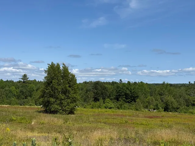 $399,000 | 199 Rte Penobscot Me 04476 Route, Penobscot, ME 04476