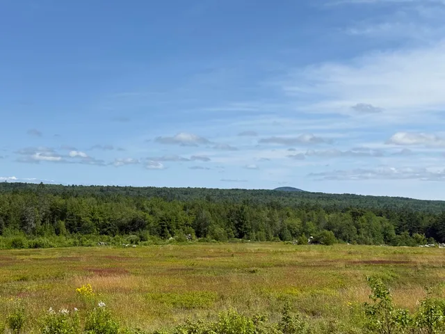 $399,000 | 199 Rte Penobscot Me 04476 Route, Penobscot, ME 04476