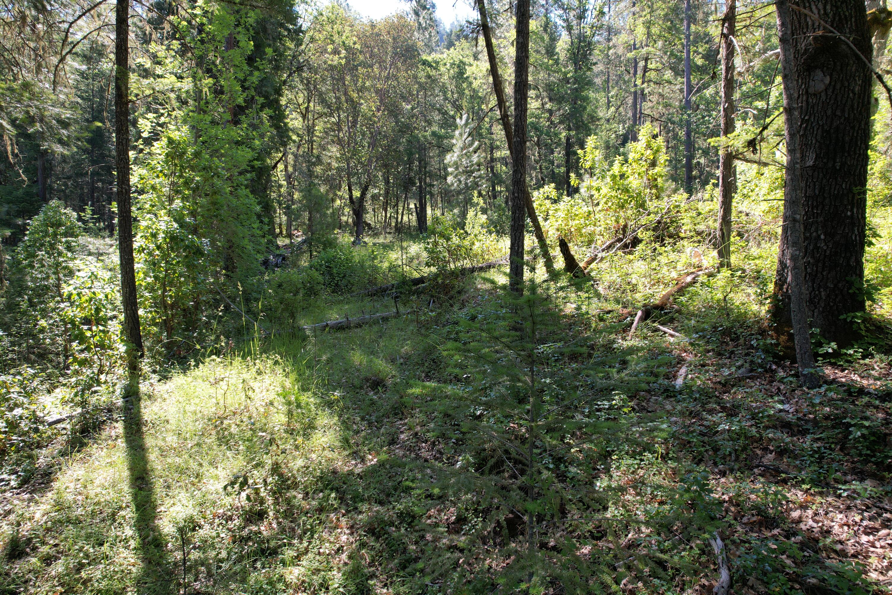 Old Ferry Road Shady Cove, OR 97539 - Photo 11 of 33 OLD FERRY (11)