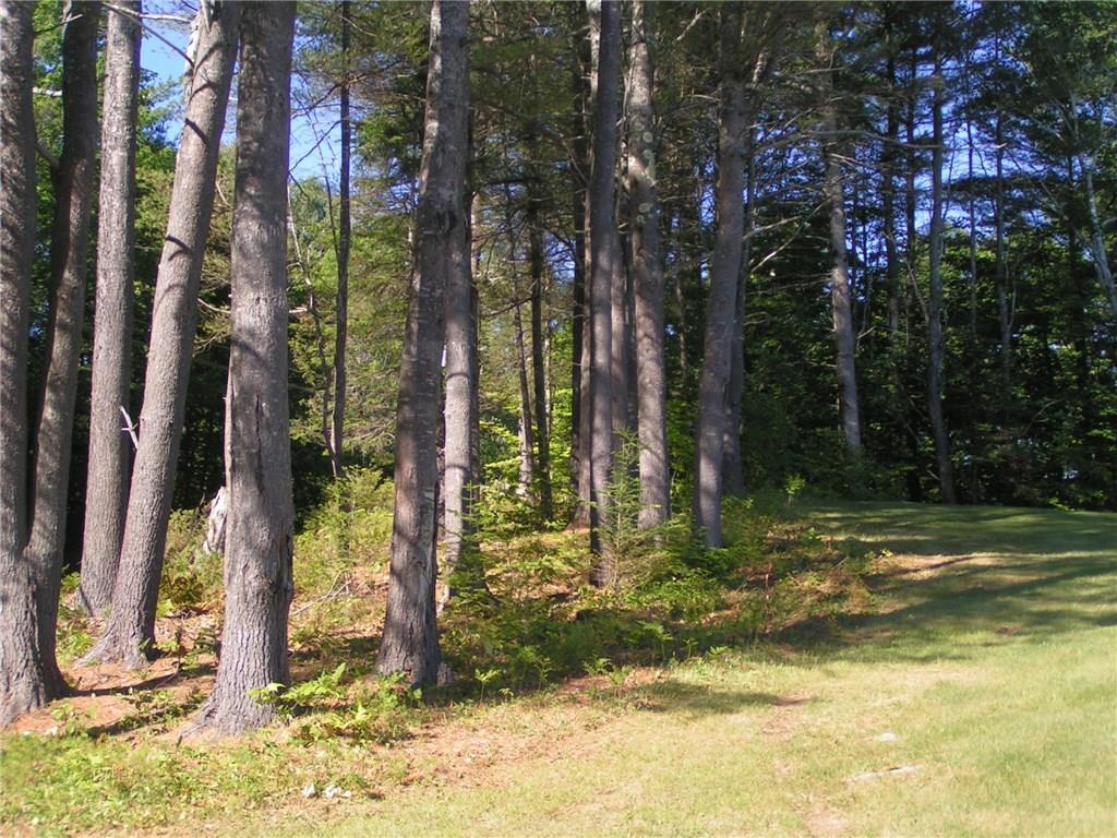 50 Mt Mica Road South Paris, ME 04281 - Photo 33 of 35 Mature trees line front of property.