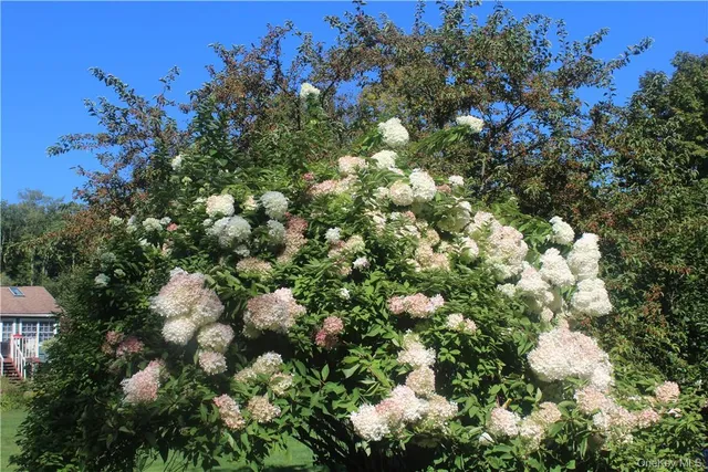 a view of swimming pool with outdoor space and seating area
