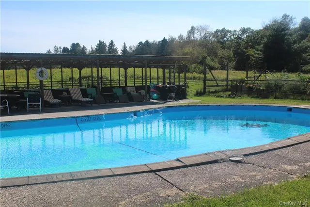 a view of a garden with plants