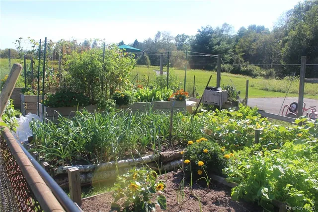 a view of small yard and deck