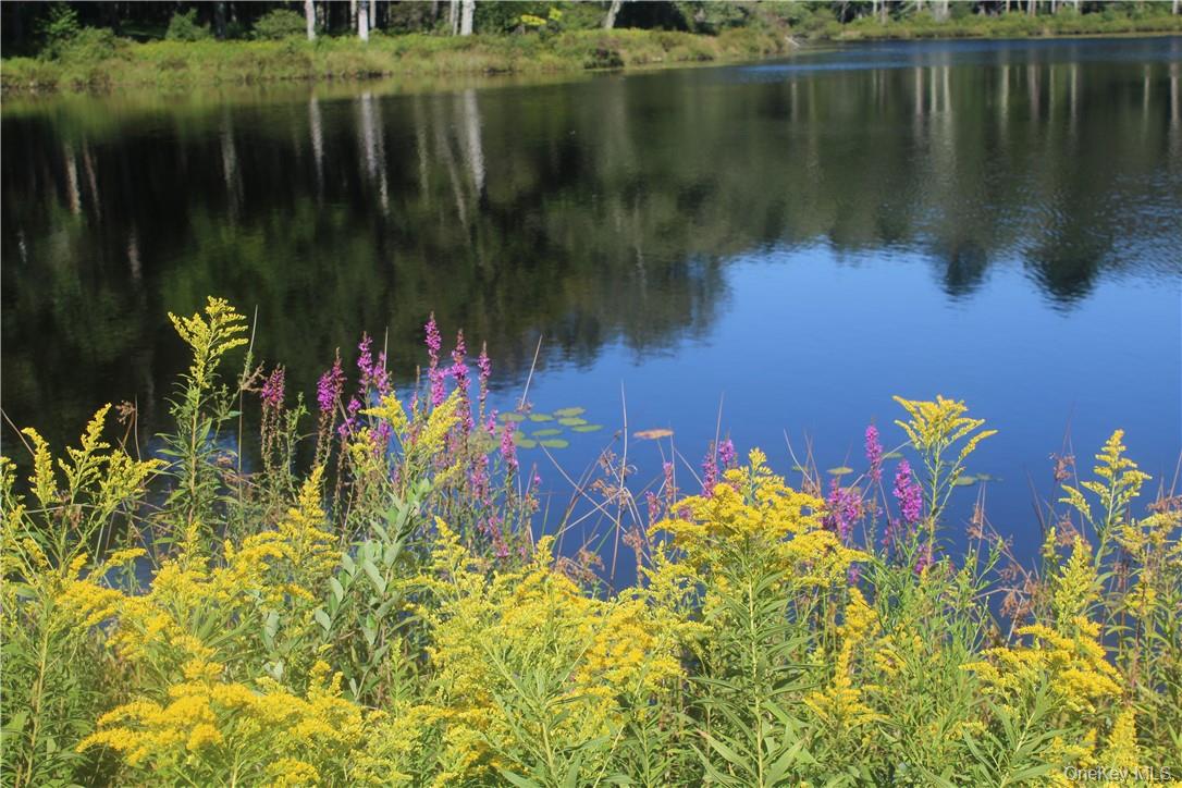 17 Gold Dan Road, Unit 56C Swan Lake, NY 12783 - Photo 5 of 33 a view of a lake with a house