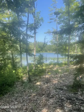 $229,000 | L34 Mountain Lane, Chestertown, NY 12817