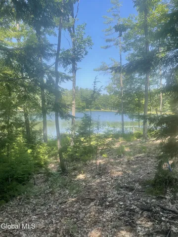 $229,000 | L34 Mountain Lane, Chestertown, NY 12817