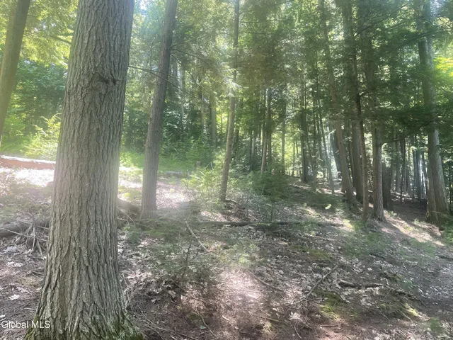 $229,000 | L34 Mountain Lane, Chestertown, NY 12817