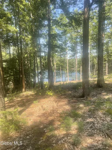 $229,000 | L34 Mountain Lane, Chestertown, NY 12817