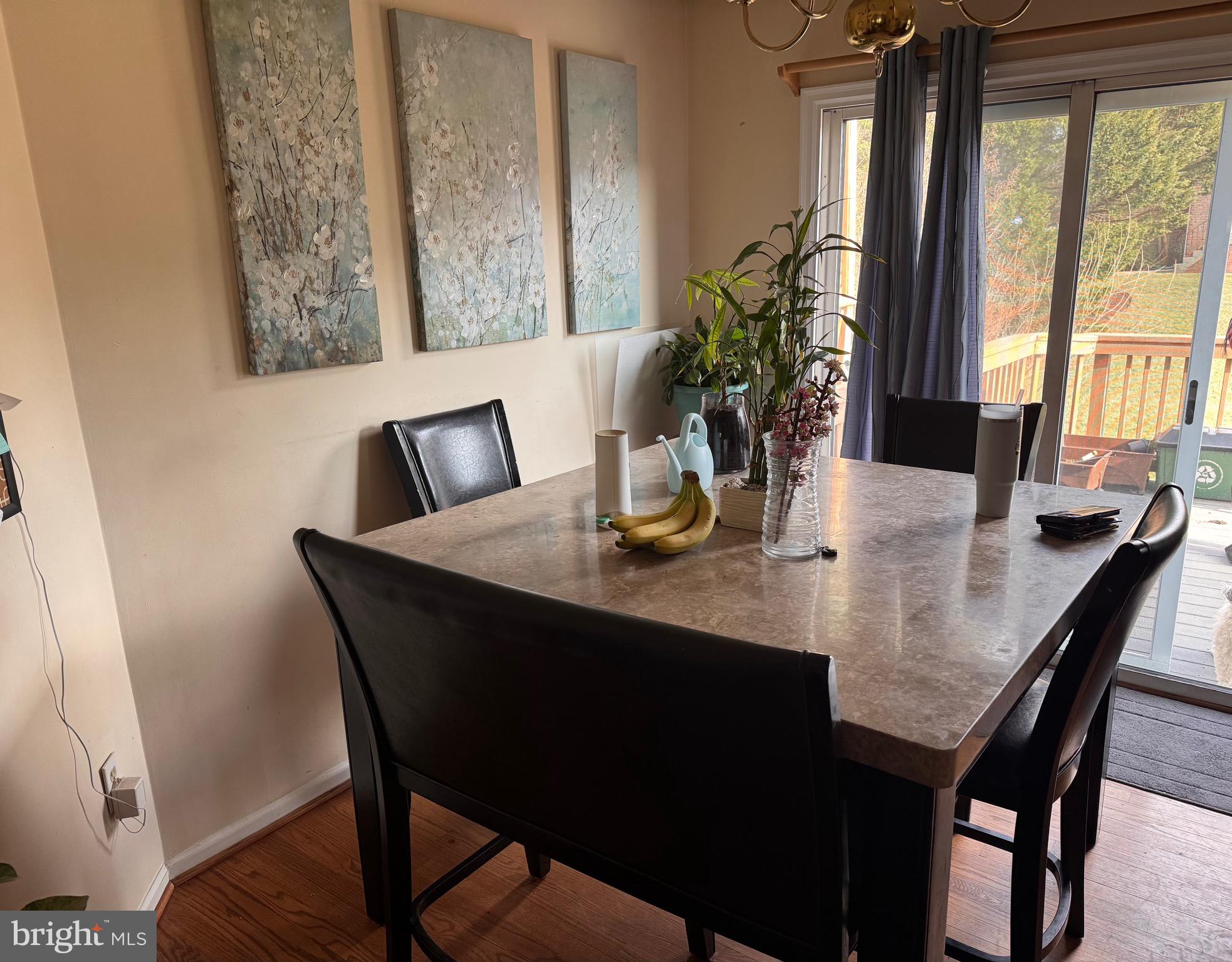 109 Twisted Stalk Drive Gaithersburg, MD 20878 - Photo 4 of 12