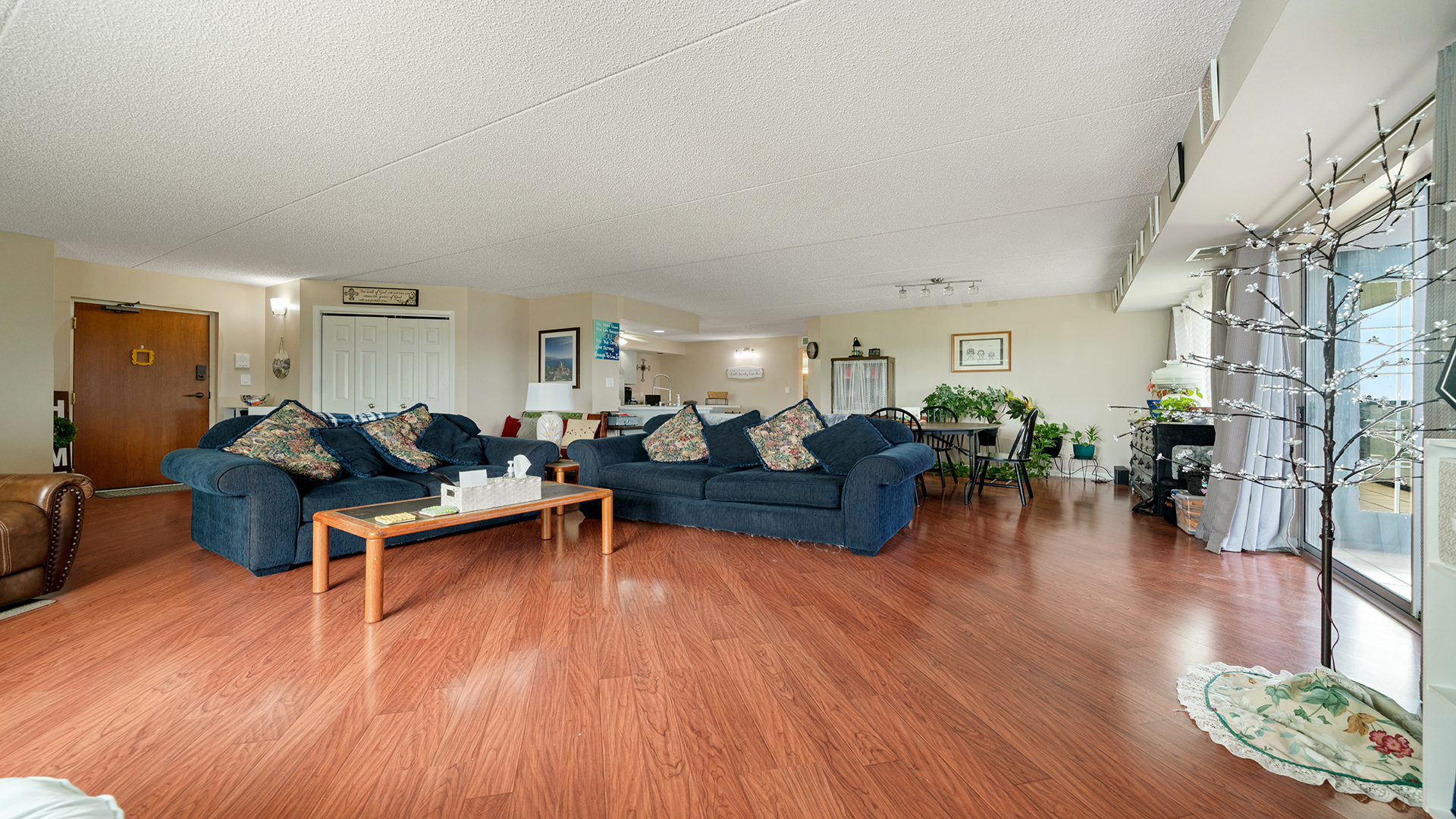 1133 North 7th Street, Unit 704 Rochelle, IL 61068 - Photo 4 of 31 a living room with furniture a wooden floor and a fireplace