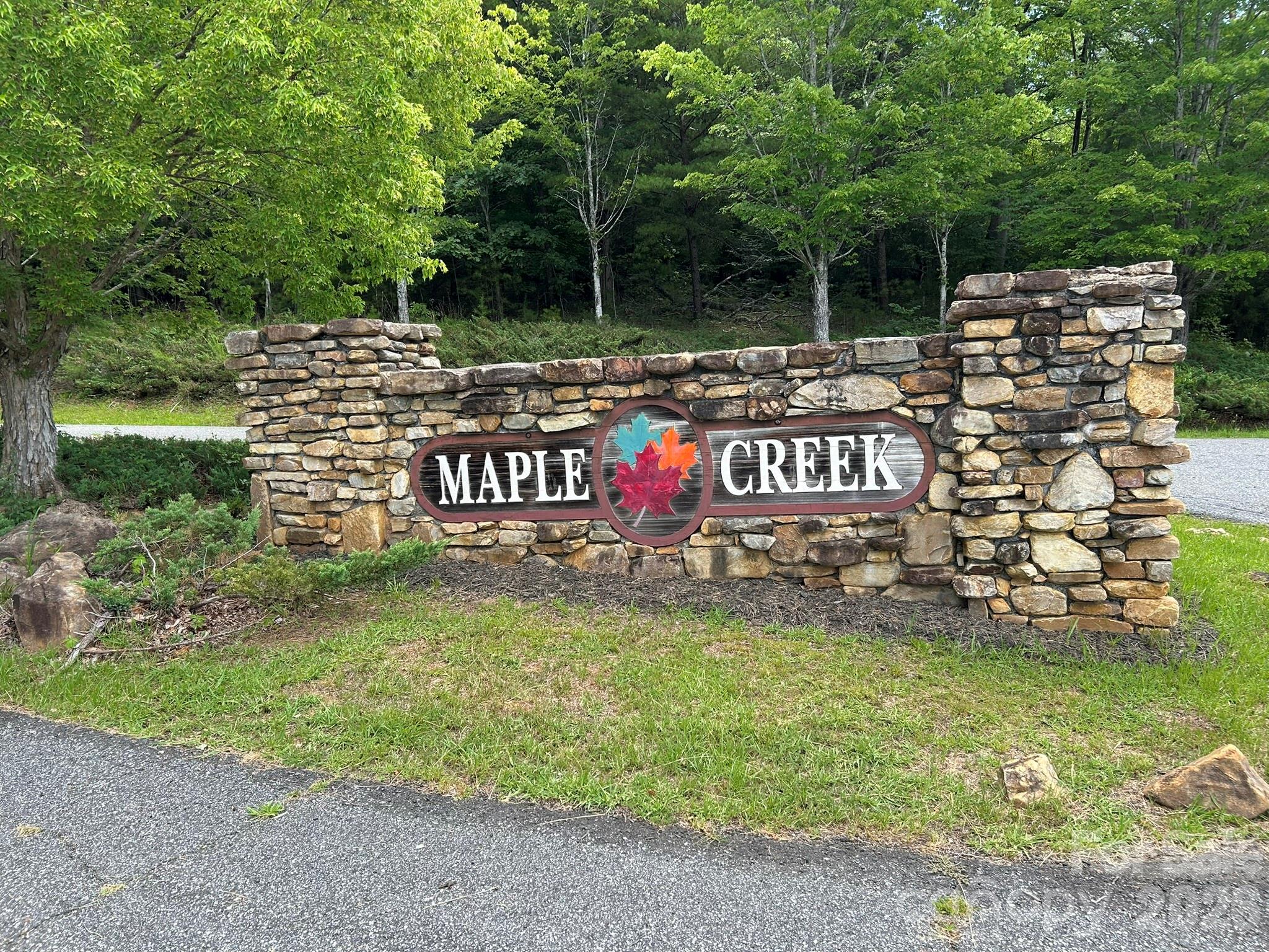 0 Wilderness Ridge, Unit 4 Rutherfordton, NC 28139 - Photo 1 of 11