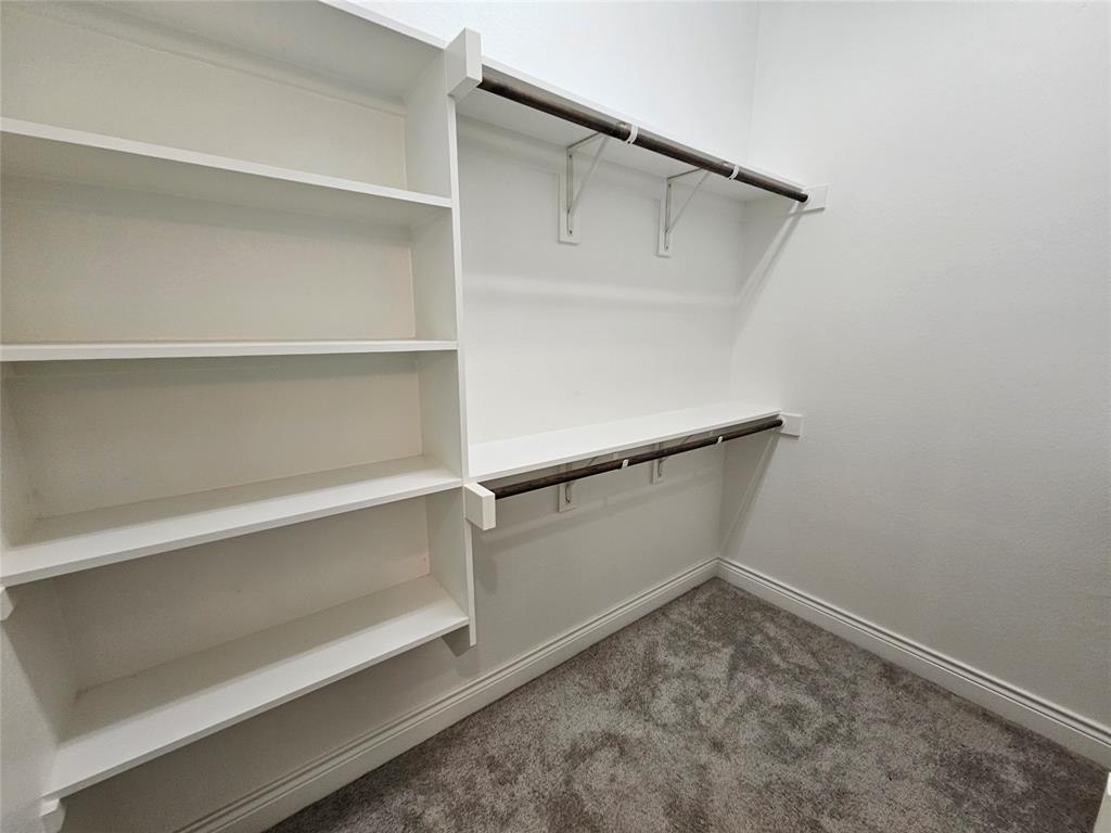 2065 Snapdragon Road Frisco, TX 75033 - Photo 20 of 39 Walk-in closet featuring white built-in shelving, dual hanging rods, and plush gray carpeting