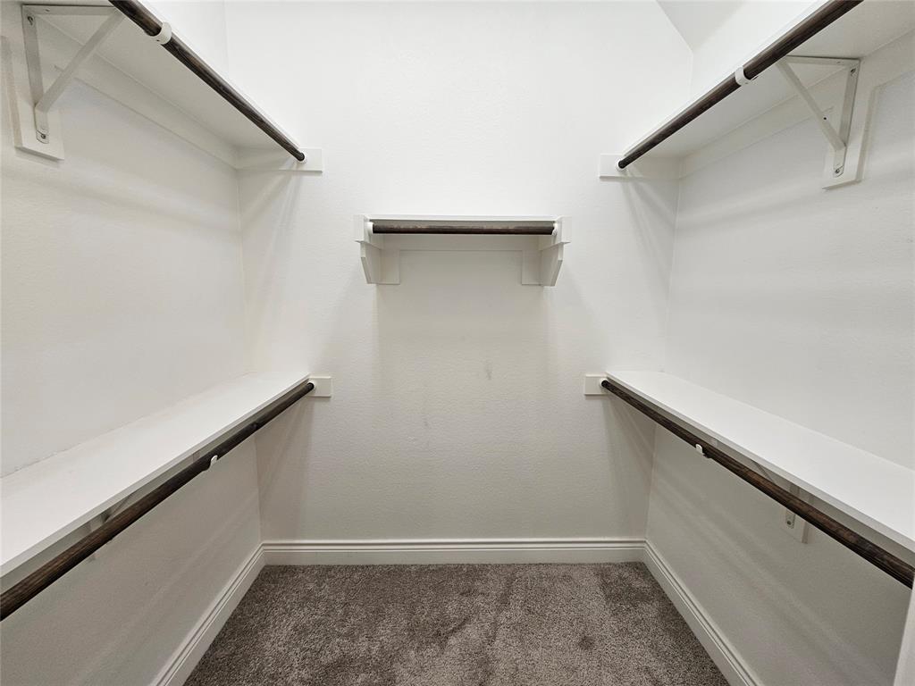 2065 Snapdragon Road Frisco, TX 75033 - Photo 31 of 39 Walk-in closet featuring white walls, white shelving, dark wood-finish hanging rods, and grey carpet flooring