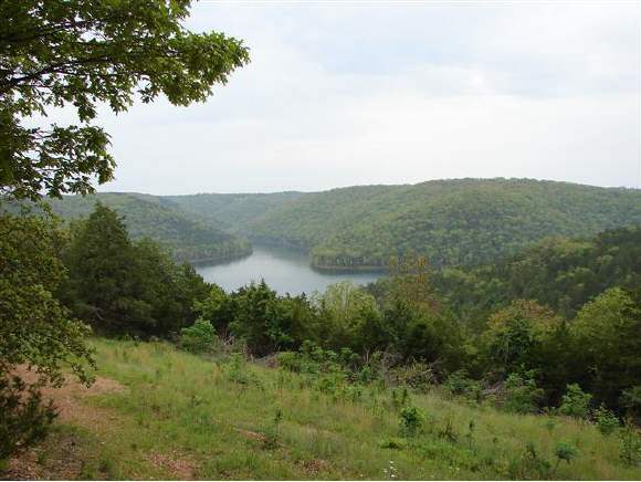 Lake Hills Road Lampe, MO 65681 - Photo 1 of 1 Primary Photo