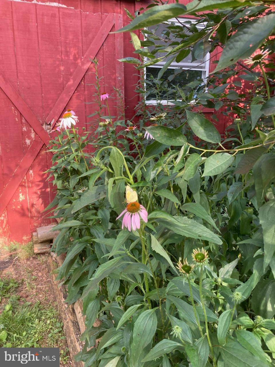 3085 Indian Run Road Amissville, VA 20106 - Photo 115 of 132