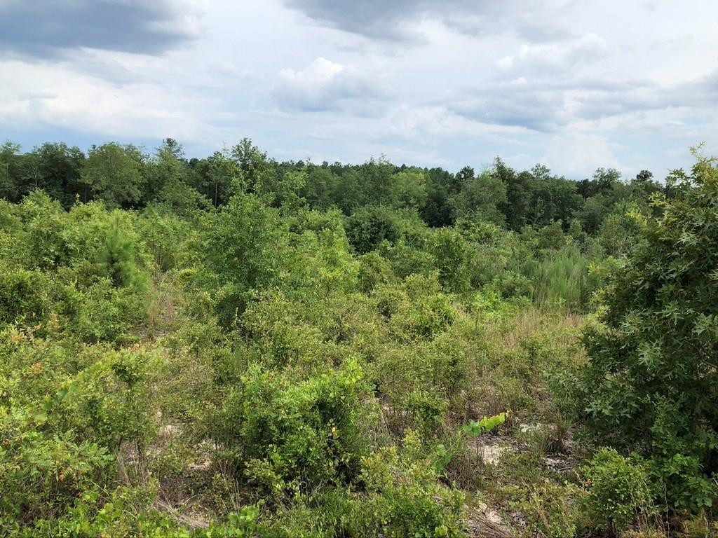 Lot 3 Eagle Road North Augusta, SC 29860 - Photo 1 of 3
