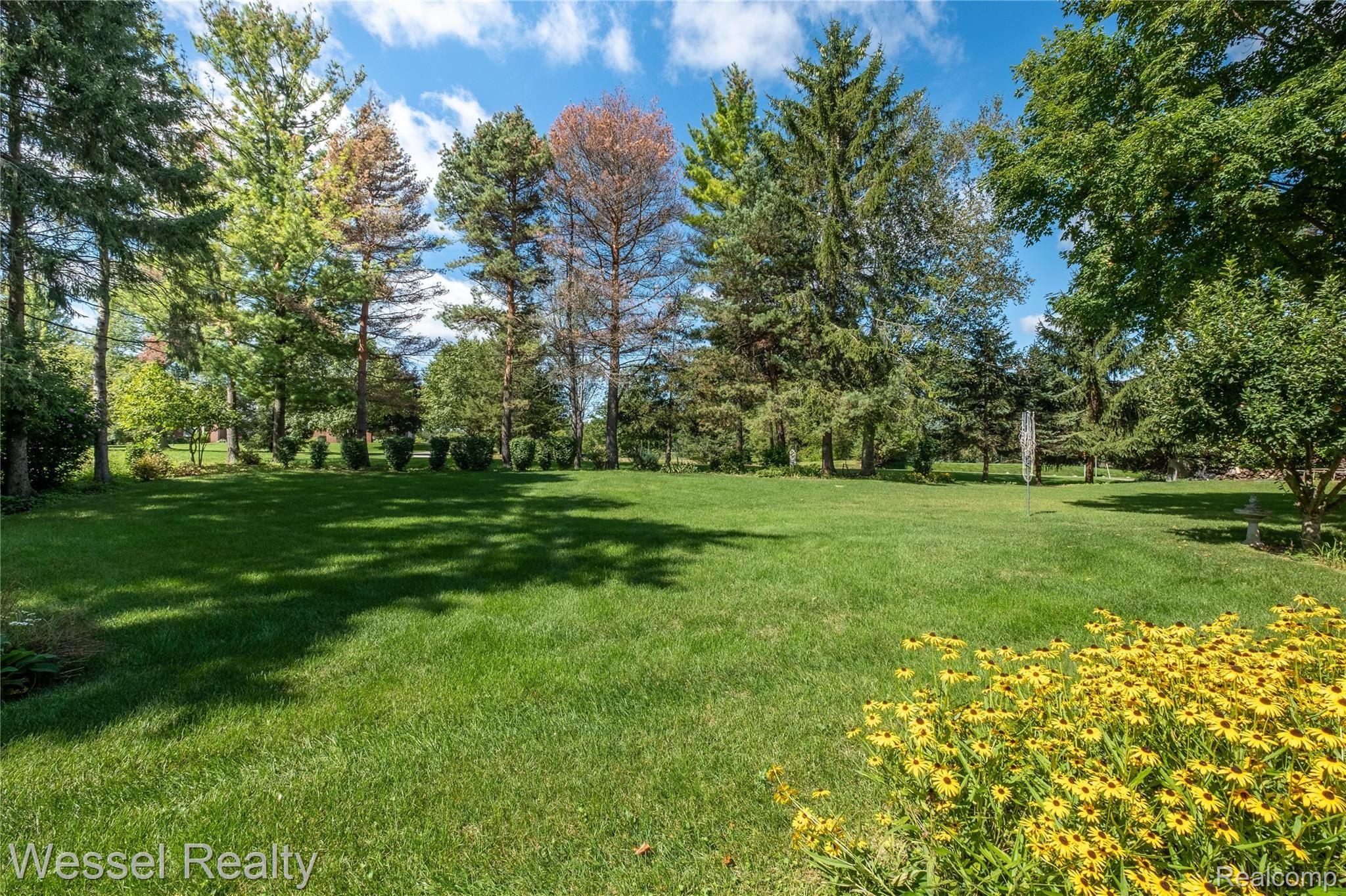 69535 Saxon Drive Romeo, MI 48065 - Photo 9 of 39 saxon-105.jpg