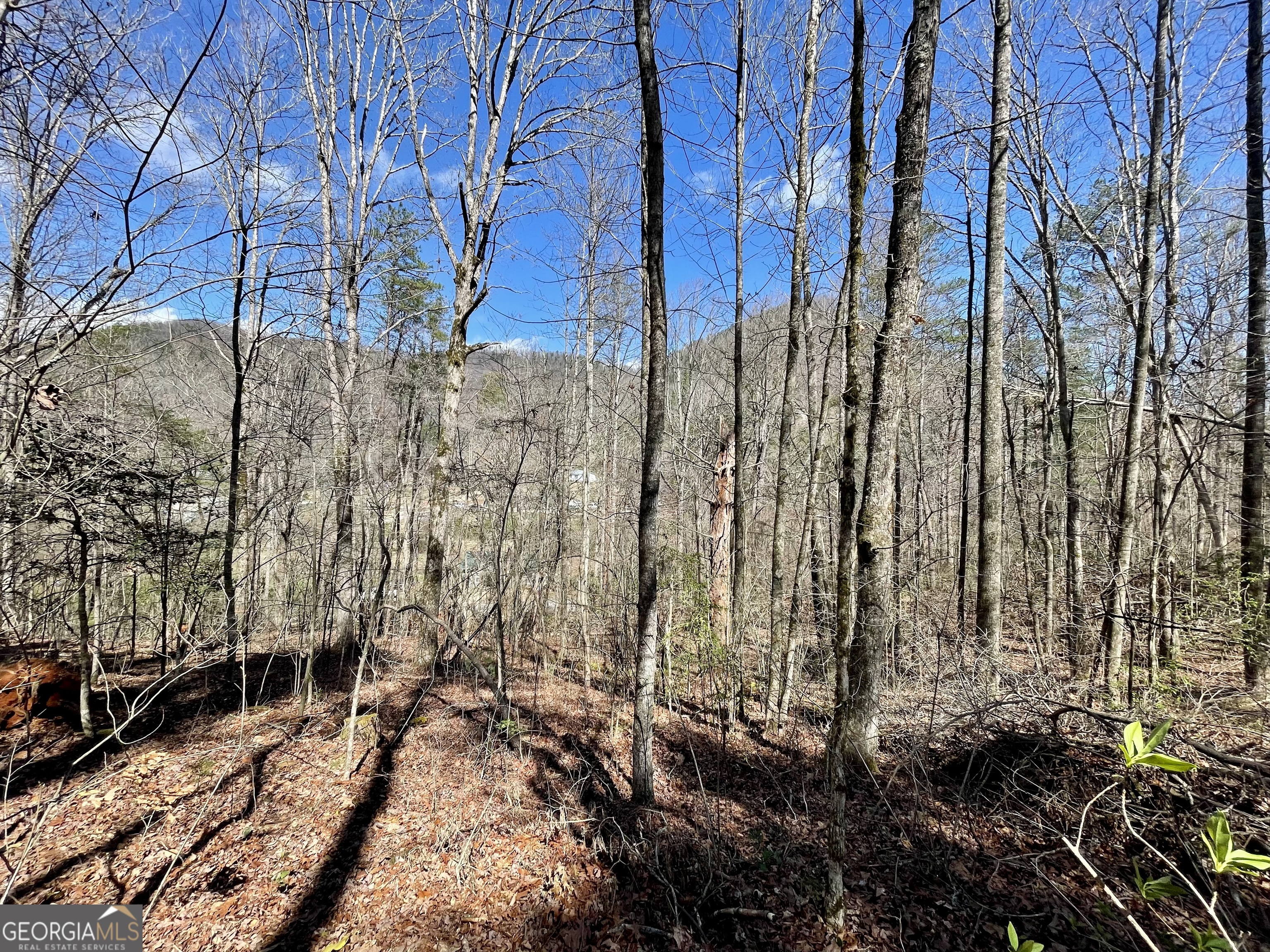 0 Bridge Creek Road Tiger, GA 30576 - Photo 1 of 5