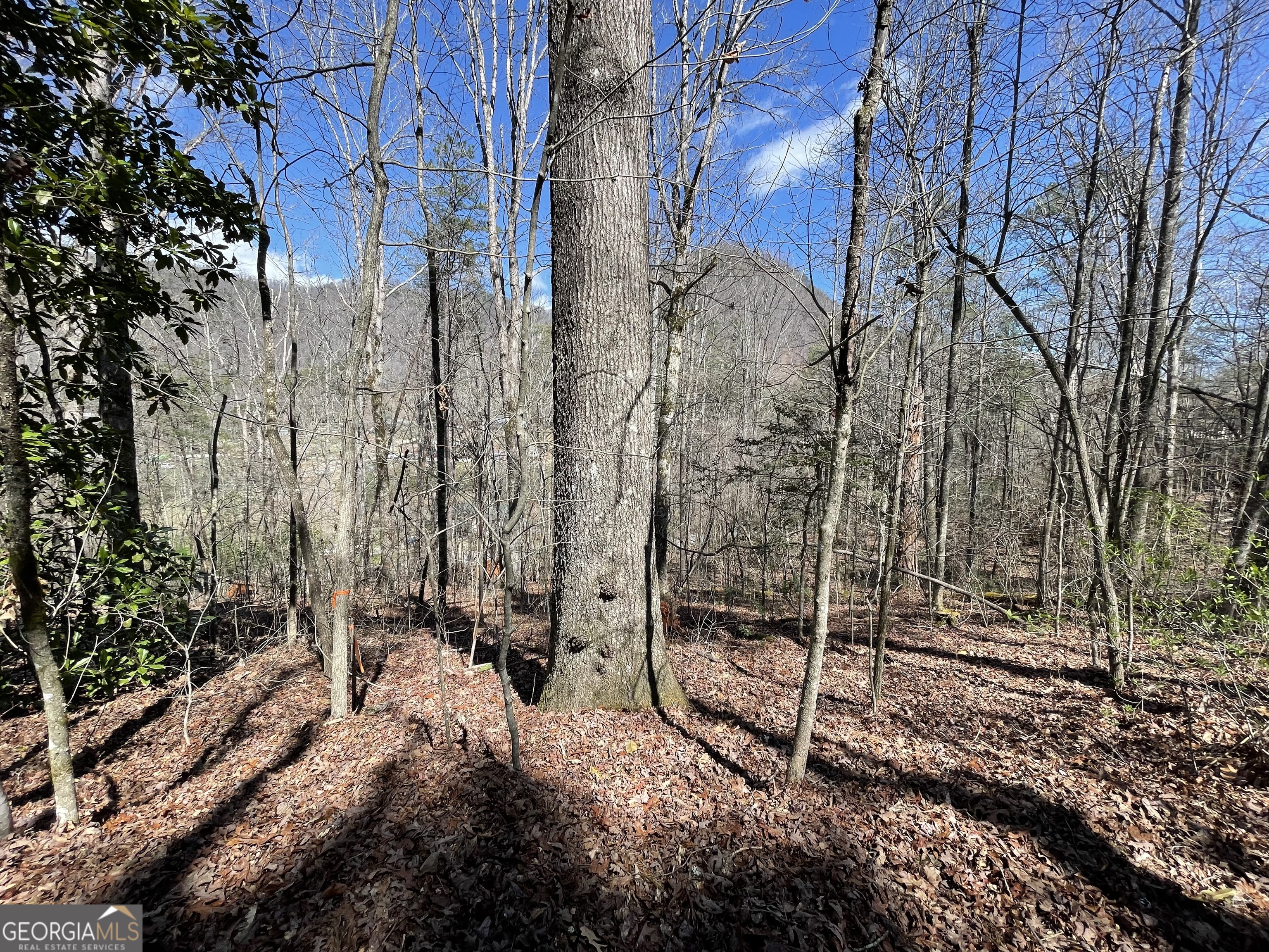 0 Bridge Creek Road Tiger, GA 30576 - Photo 2 of 5