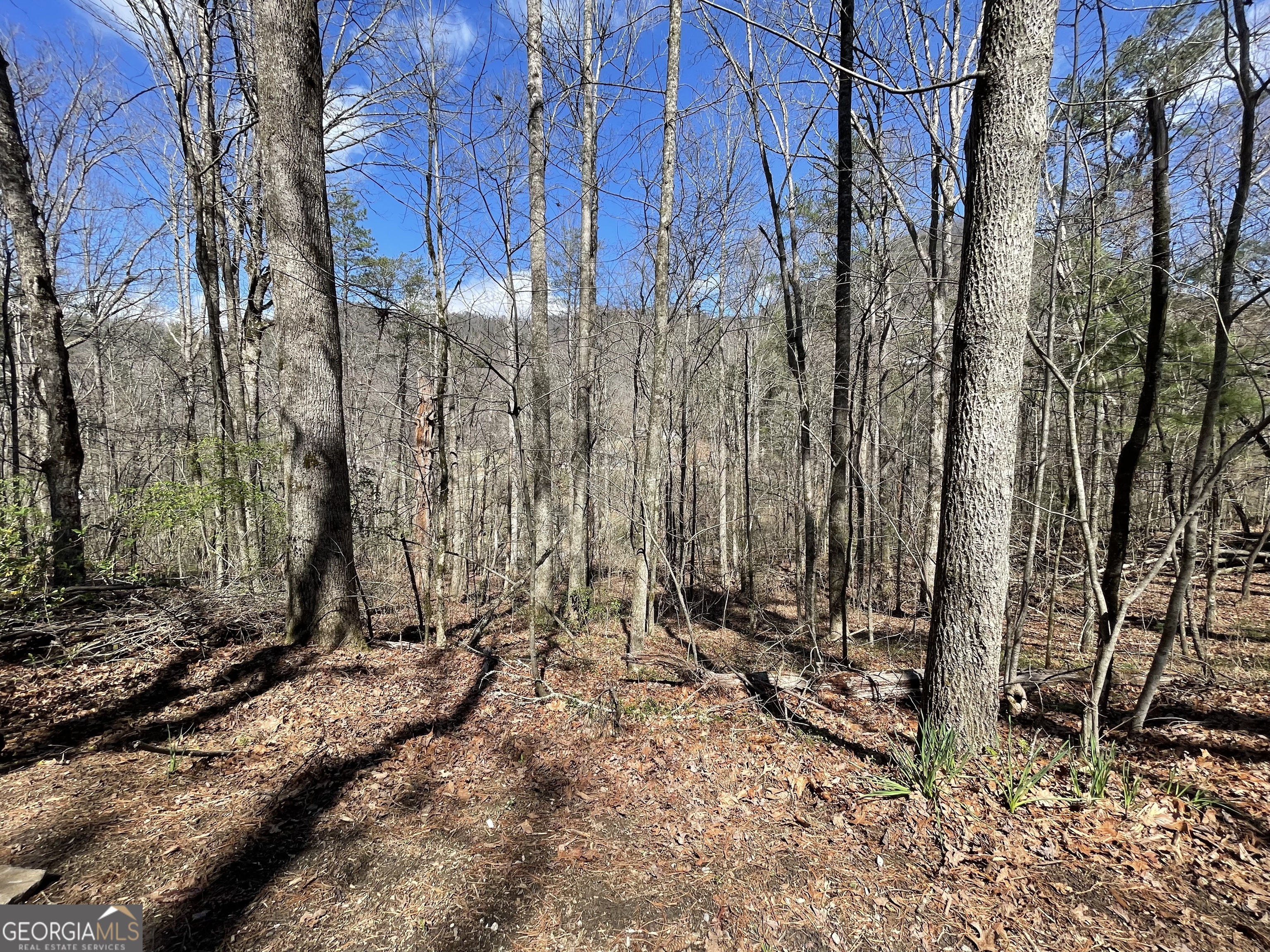 0 Bridge Creek Road Tiger, GA 30576 - Photo 3 of 5