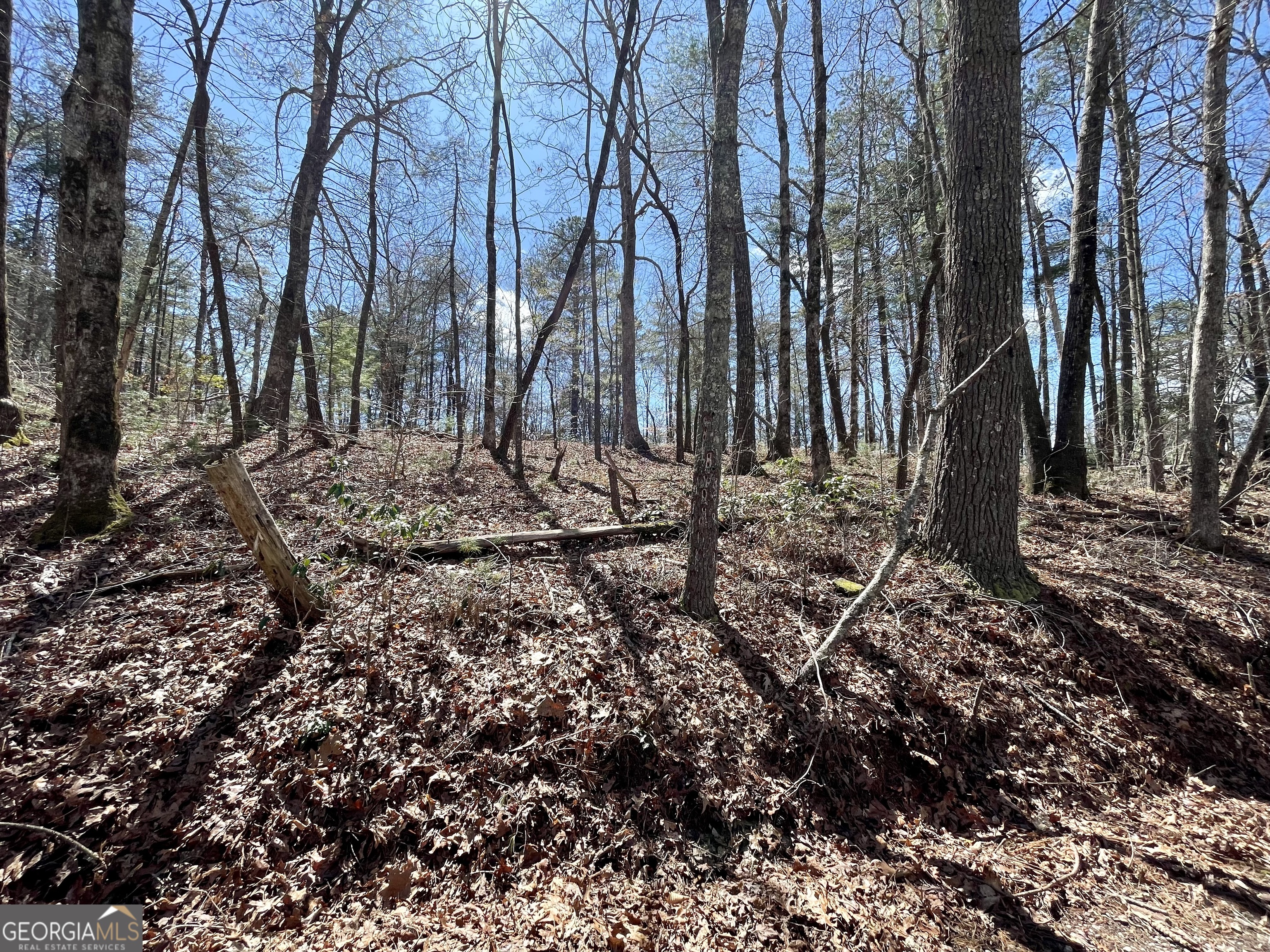 0 Bridge Creek Road Tiger, GA 30576 - Photo 4 of 5