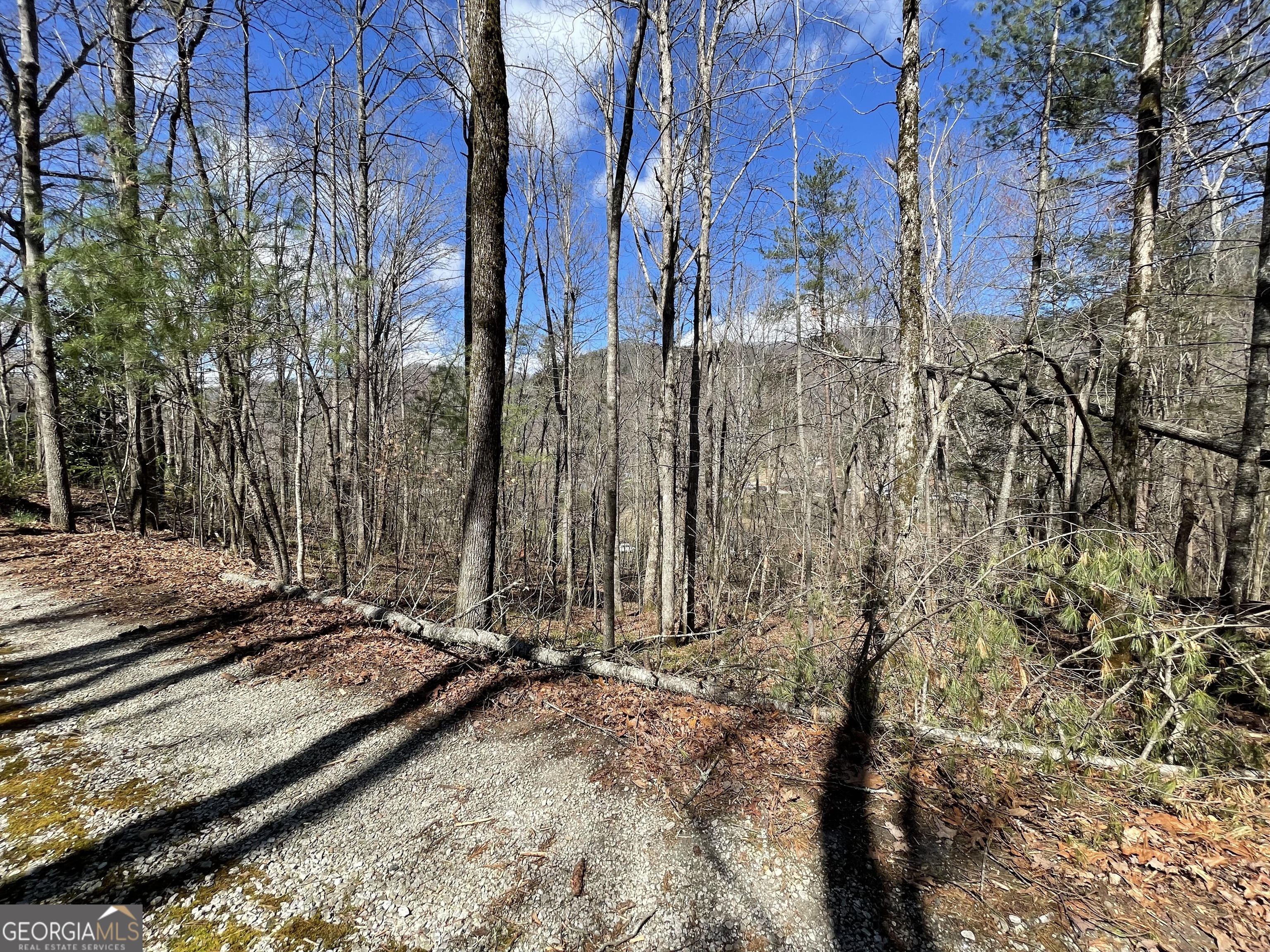 0 Bridge Creek Road Tiger, GA 30576 - Photo 5 of 5