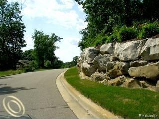 Lot 92 Northpointe Ridge West Brighton, MI 48114 - Photo 2 of 4 vl2.jpg