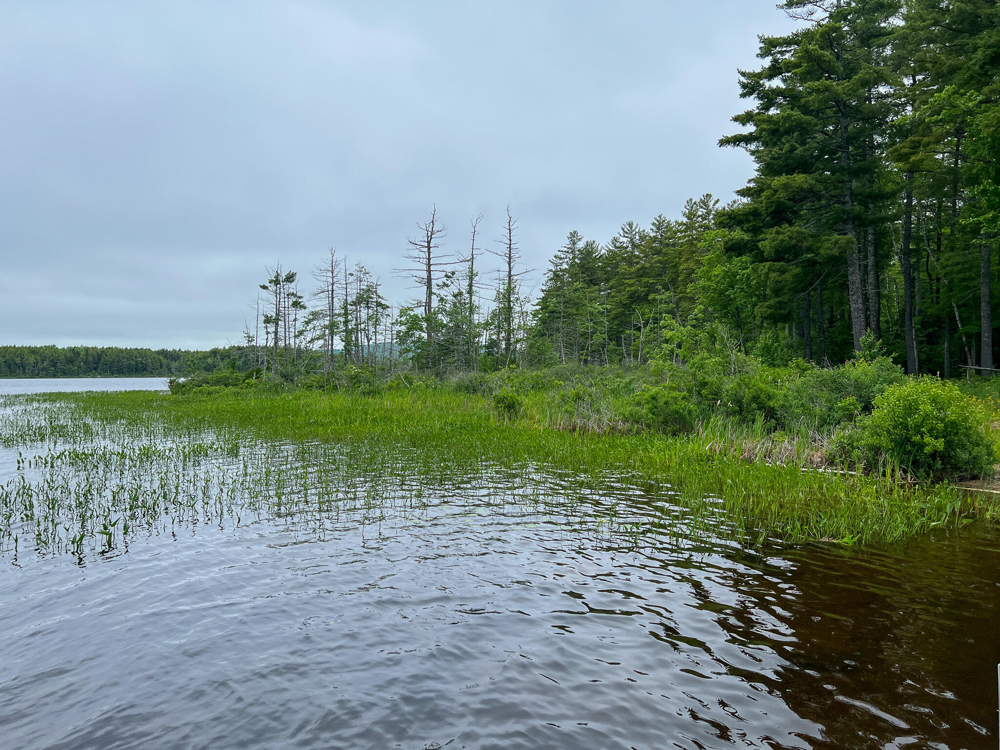 371 White Point Estates Road Lincoln, ME 04457 - Photo 6 of 38 6. Lake