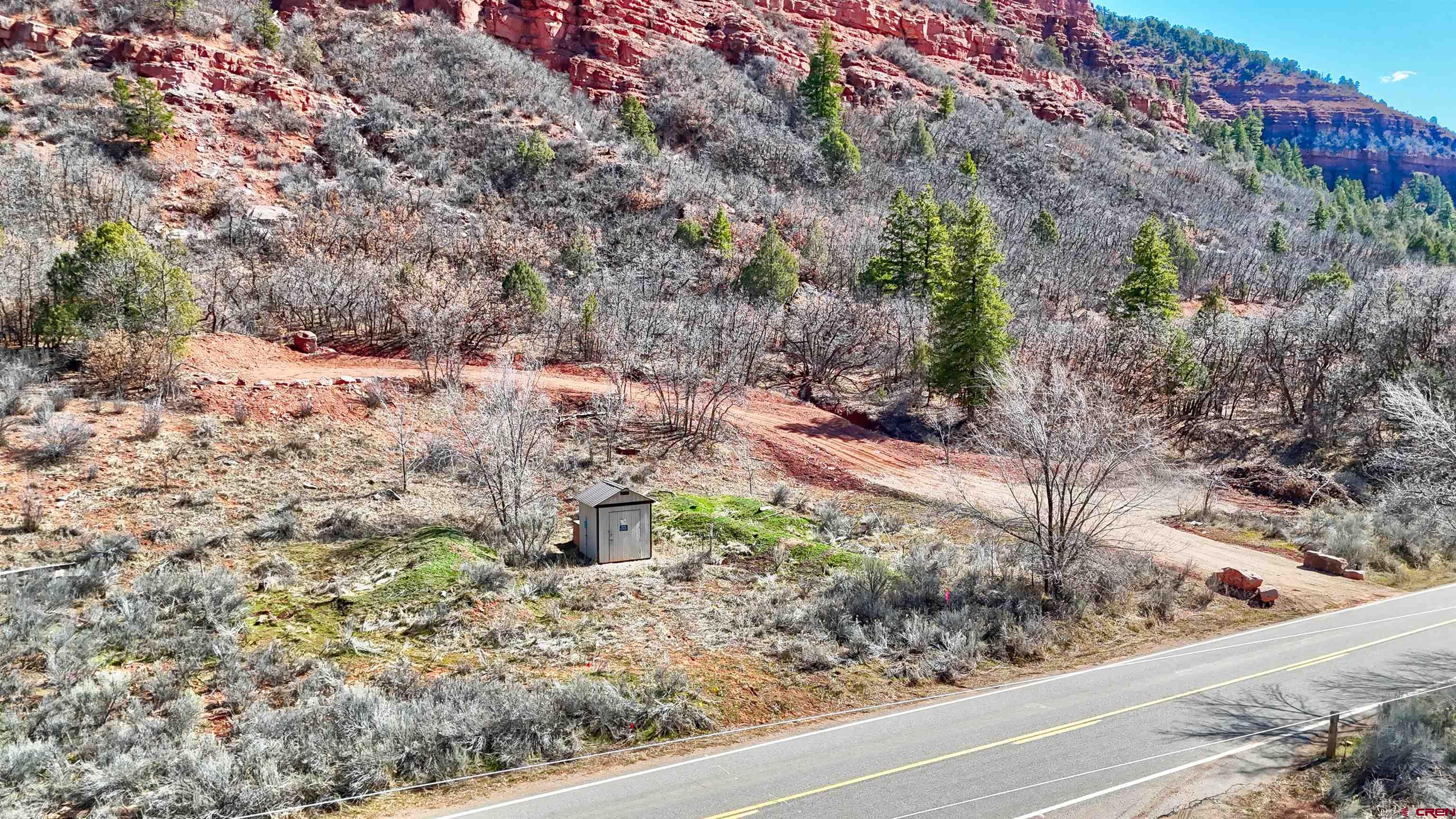 4228 County Road 250 Durango, CO 81301 - Photo 1 of 17 a view of a yard with large trees
