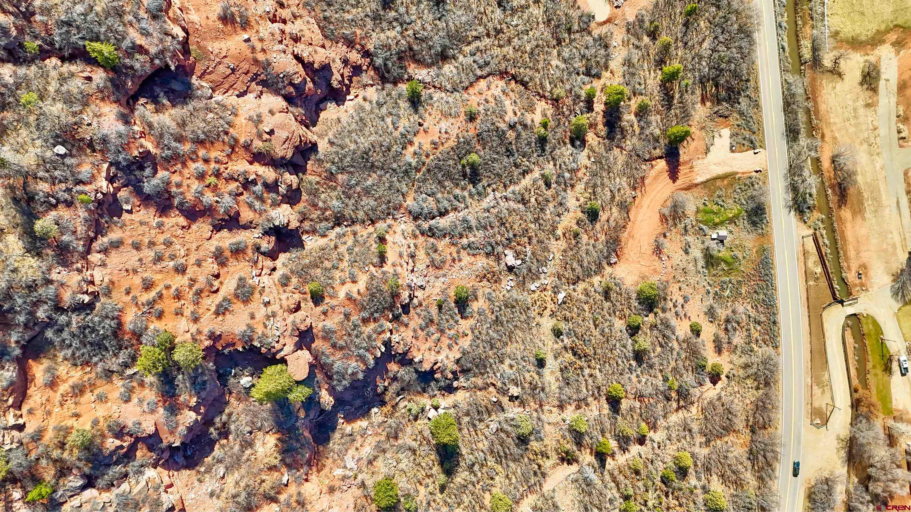 4228 County Road 250 Durango, CO 81301 - Photo 12 of 17 a close up of a plant