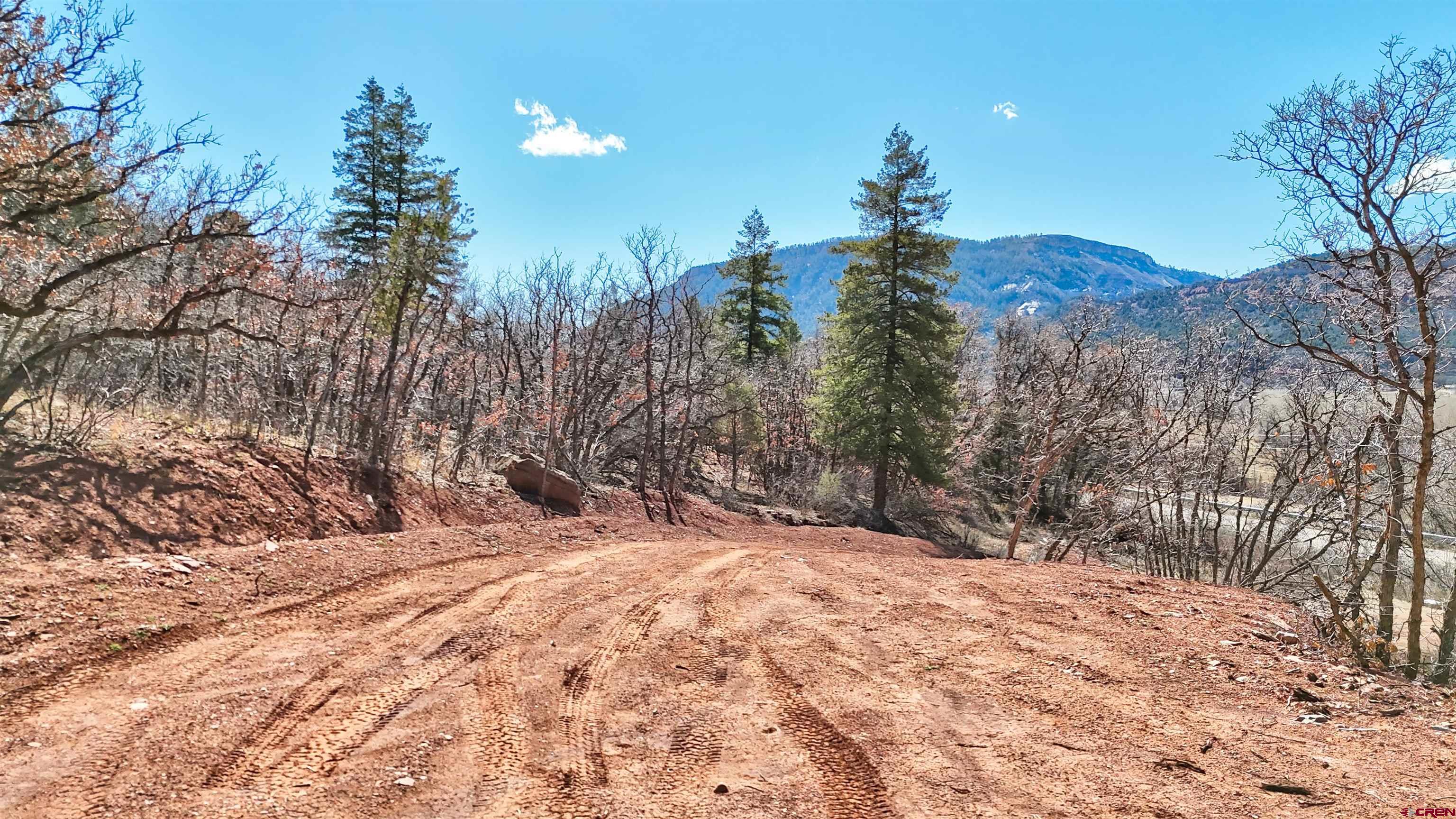 4228 County Road 250 Durango, CO 81301 - Photo 4 of 17 a view of outdoor space with trees in the background