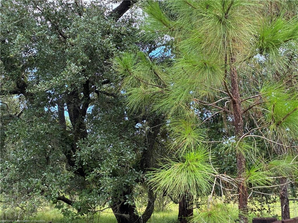 0 Detjen's Dairy Road Venus, FL 33960 - Photo 2 of 13 d13
