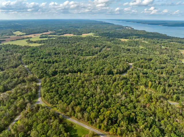 a view of a field with an ocean