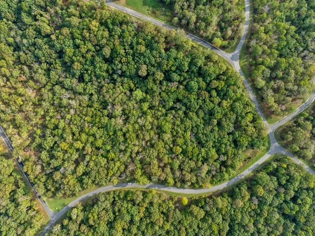 a view of an outdoor space