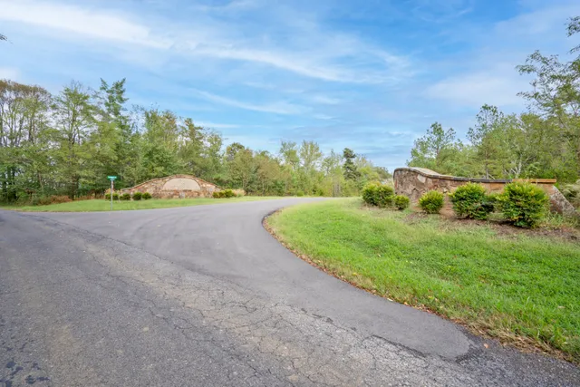 a view of a road with a yard