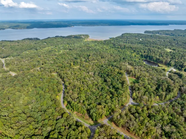 a view of a lush green forest with a houses