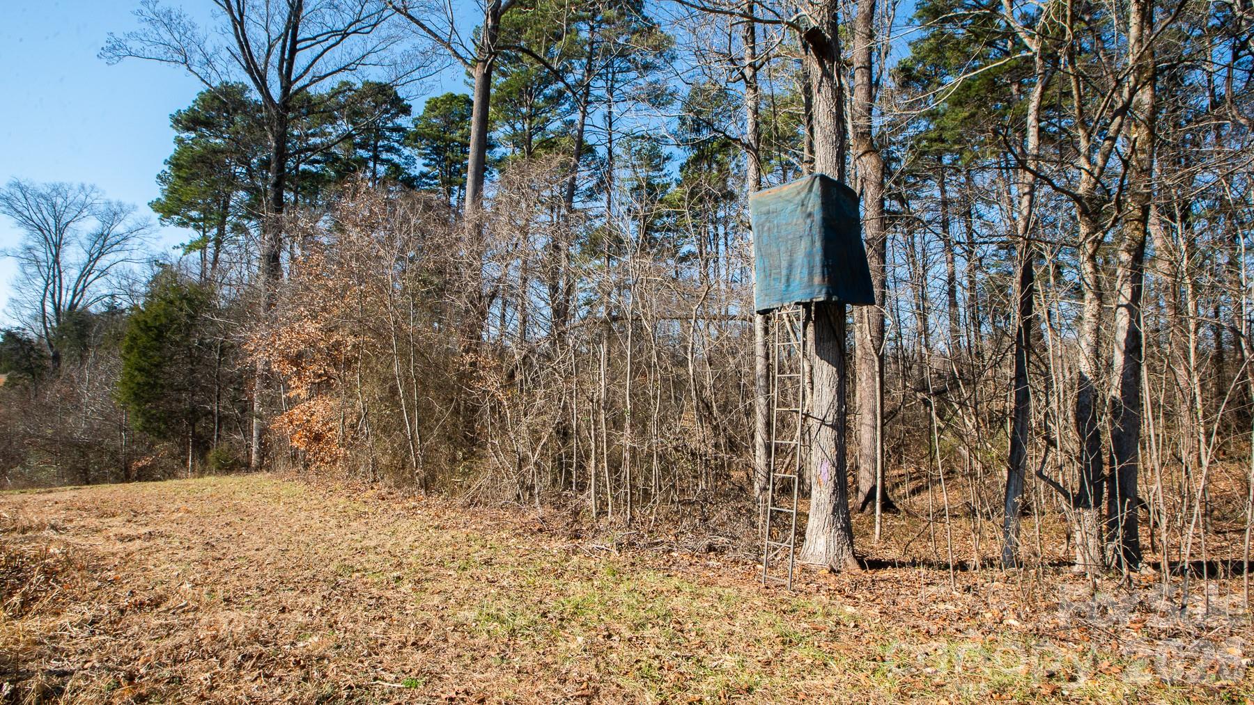 530 Upright Road Mount Ulla, NC 28125 - Photo 39 of 48 a view of a yard with trees